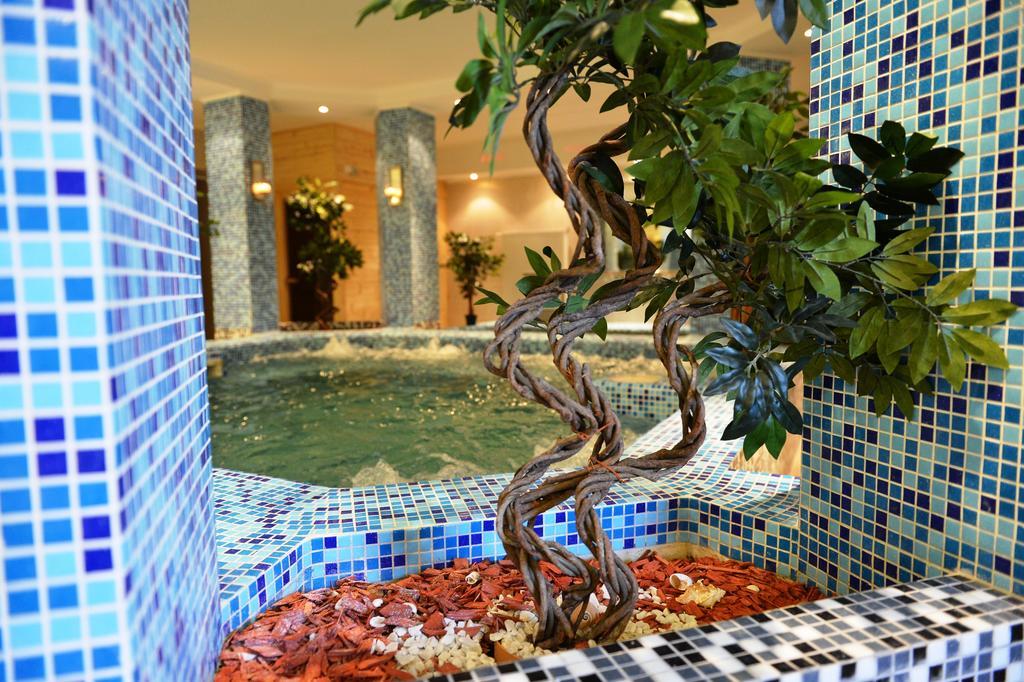 Liza Aqua & Conference Hotel Lajosmizse Dış mekan fotoğraf